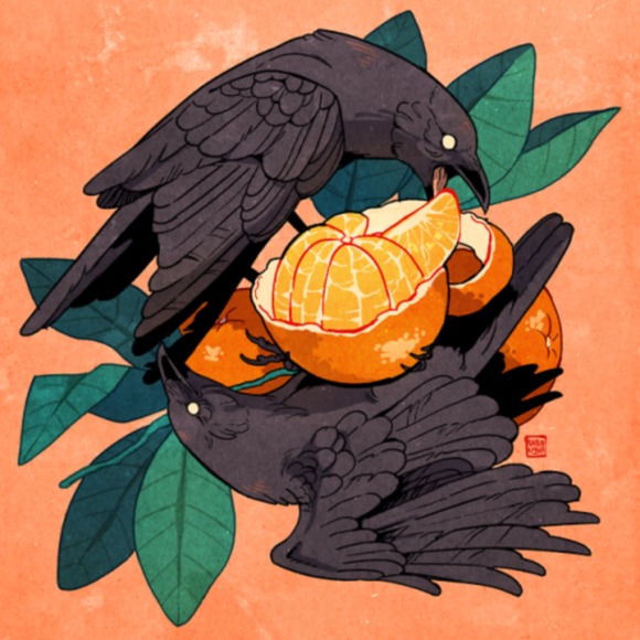 Meet your Posher, Ashe - Picture 1 of 1